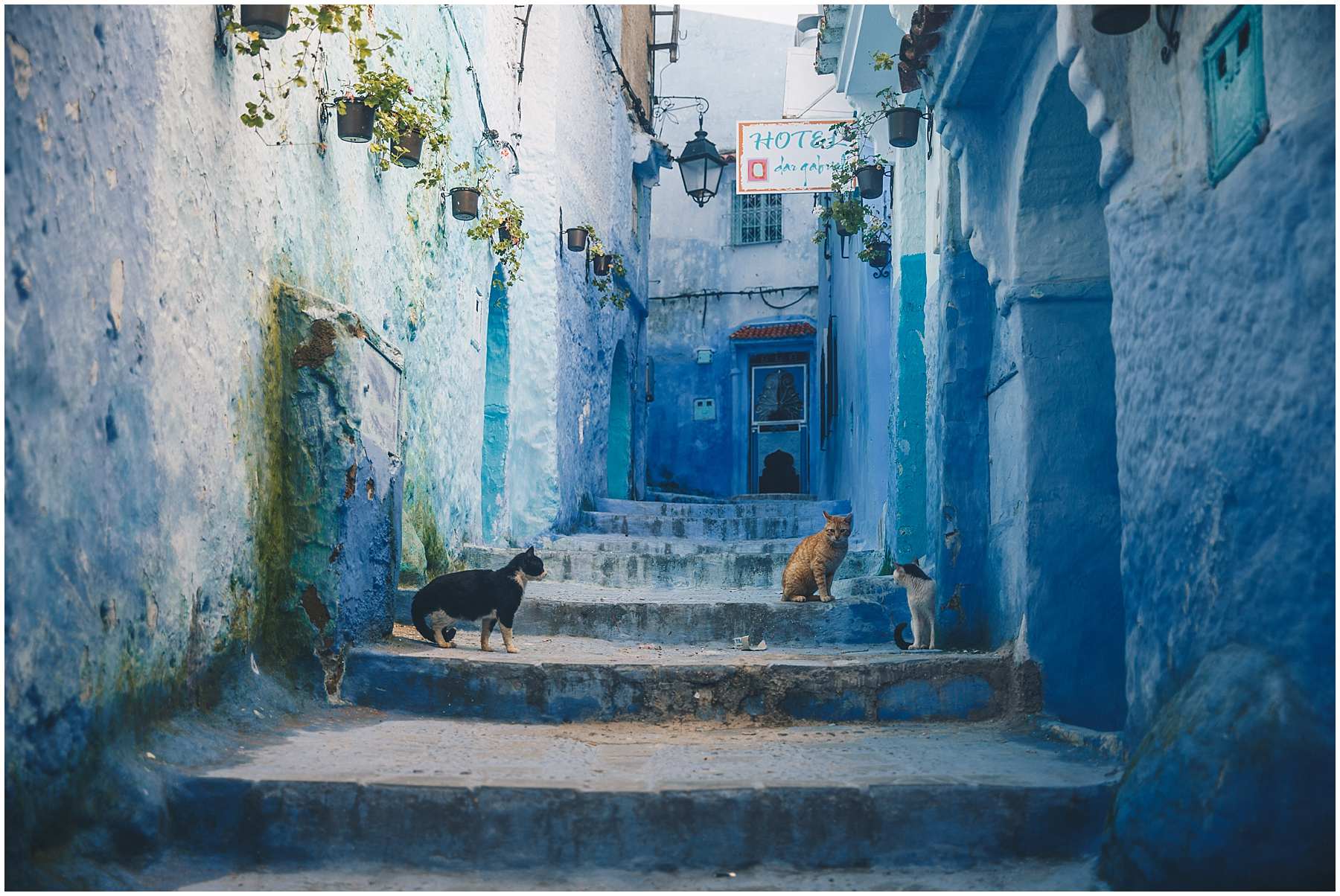 Morocco Chefchaouen_0037.jpg